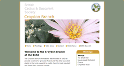 Desktop Screenshot of croydon.bcss.org.uk