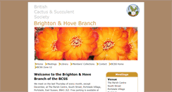 Desktop Screenshot of brighton.bcss.org.uk