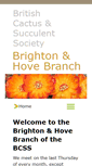 Mobile Screenshot of brighton.bcss.org.uk