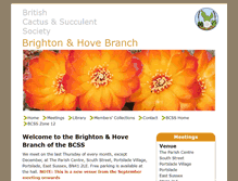 Tablet Screenshot of brighton.bcss.org.uk